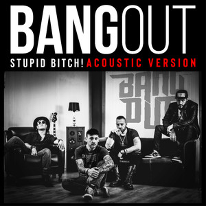 Stupid *****! (Acoustic Version) [Explicit]