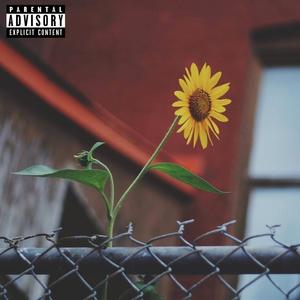 Don't Be Mad (feat. Wav & Tiger Tchakounté) (Explicit)