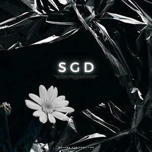 SGD (Instrumental)