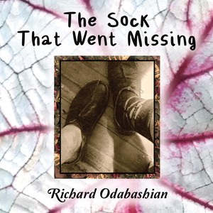 The Sock That Went Missing