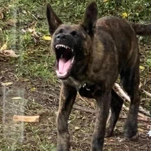 Sweatest thang (feat. Yung sneak)