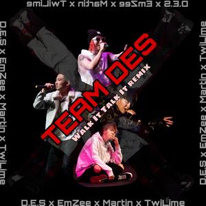 Migos-TEAM DES (Walk It Talk It remix)（D.E.S (DES) / EmZee / 马汀MaRt11N / TwiLime remix）