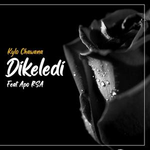 Dikeledi (feat. Apo RSA) [Radio Edit]