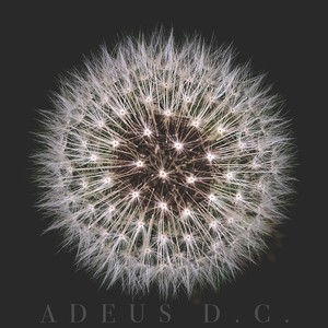 Adeus D. C. (Demo)