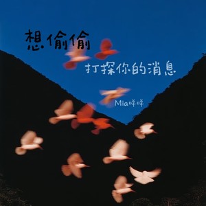 想偷偷打探你的消息