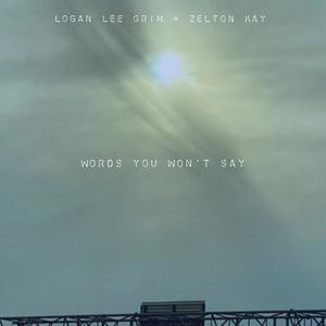 Words You Won't Say(feat. Zelton Kay)