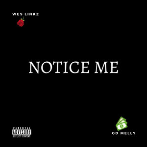 Notice Me (Explicit)