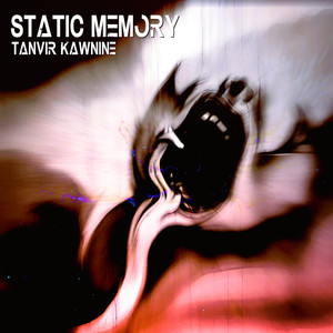 Static Memory