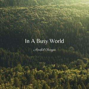 In a Busy World