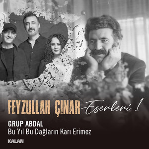 Bu Yıl Bu Dağların Karı Erimez (Feyzullah Çınar Eserleri 1)