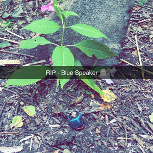 Blue Speaker 2 (LewJB1 Remix|Explicit)