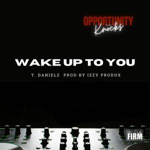 Wake Up To You (feat. T. Danielz)