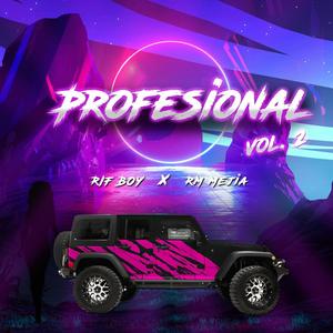 Profesional (Vol2)