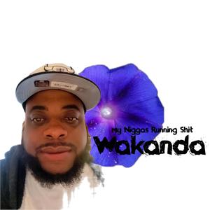 Wakanda (feat. Gank Goola) (Explicit)