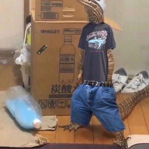 Bandz (feat. Sluji) (Explicit)