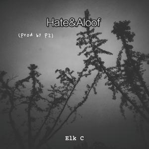 Hate&Aloof （Prod by PZ）