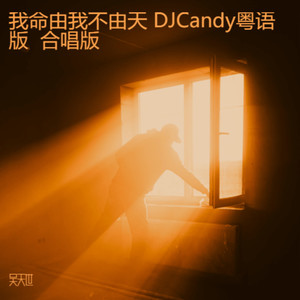 我命由我不由天 DJCandy粤语版