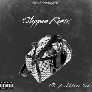 steppas (feat. Bakkdoor Trev) [Explicit]