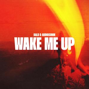 Wake Me Up