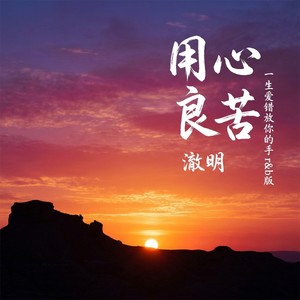 用心良苦 (一生爱错放你的手)封面