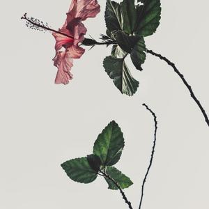 I made you a song you’ll never listen to