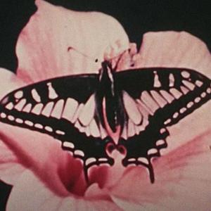 Jealous (feat. Finch) (Explicit)