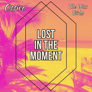 Lost in the Moment (feat. The Wax Birds)