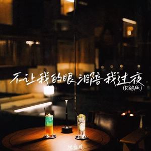 沈临风 - 不让我的眼泪陪我过夜 (R&B版)