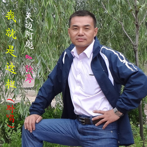 《我就是这样》