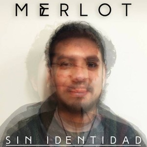 Sin Identidad