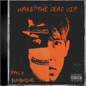 WAKE THE DEAD VIP! (feat. $un$hine) [Explicit]