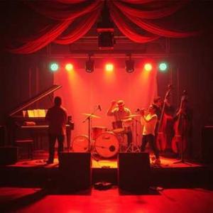 Les rois de la salsa