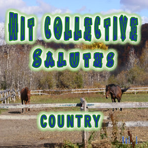 Hit Collective Salutes Country, Vol. 1