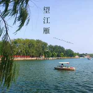 金木水火土嗨之王