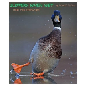Slippery When Wet(feat. Paul Wainwright)