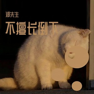 Peter Roe-不擅长倒下 (郑先生 remix)