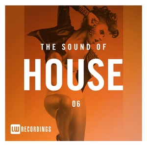 The Sound Of House, Vol. 06