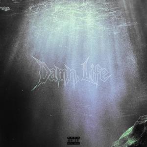 Damn, Life (Explicit)