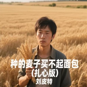 种的麦子买不起面包 (扎心版)