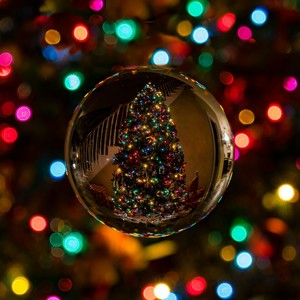 Christmas Day Appearing