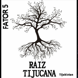 Mega Favela Festival