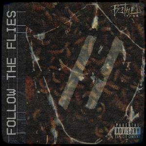 follow the flies (Explicit)