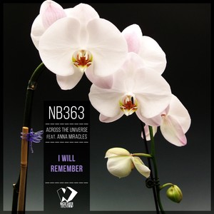 I Will Remember (Original Mix)