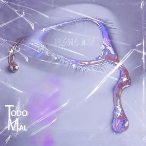 Todo Mal (feat. Amauri HL & Fran Garcia)