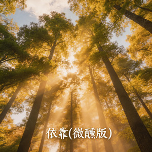 依靠 (微醺版)