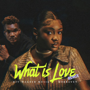 What Is Love (Remix)