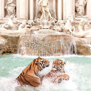 AFFLICTION Pt. 1 (Explicit)