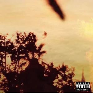 Girl of my dreams, Pt. 2 (Explicit)