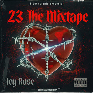 23 The MixTape (Explicit)