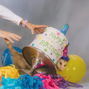 burnt out star (Explicit)